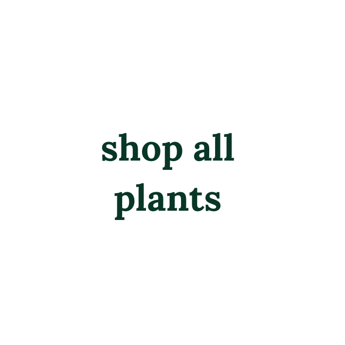 Catalogue